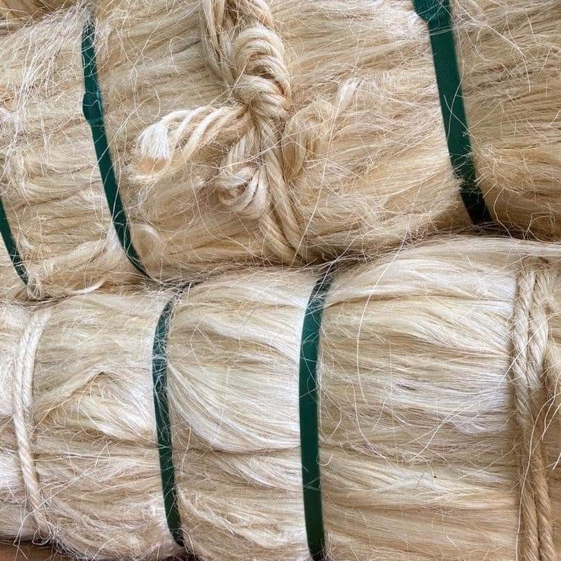 White Sisal Fiber for Sale