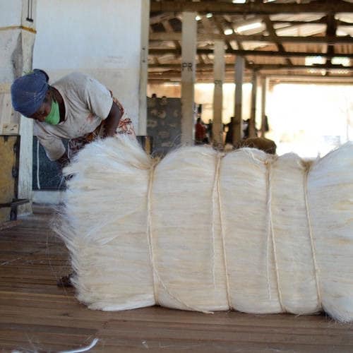 Sisal Fiber Wholesale