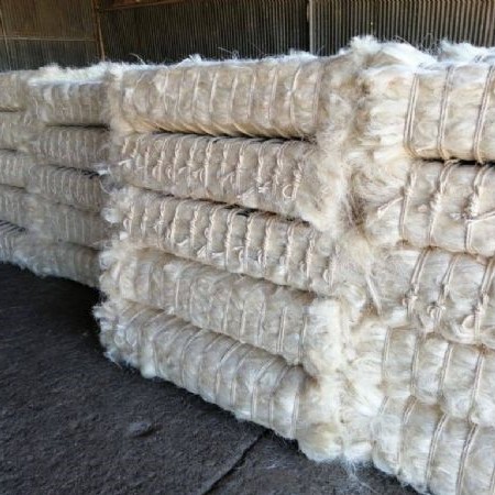 Buy Sisal Fiber