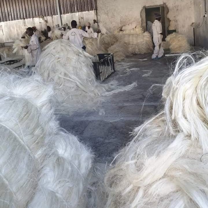 Grade 3L Sisal Fibre suppliers