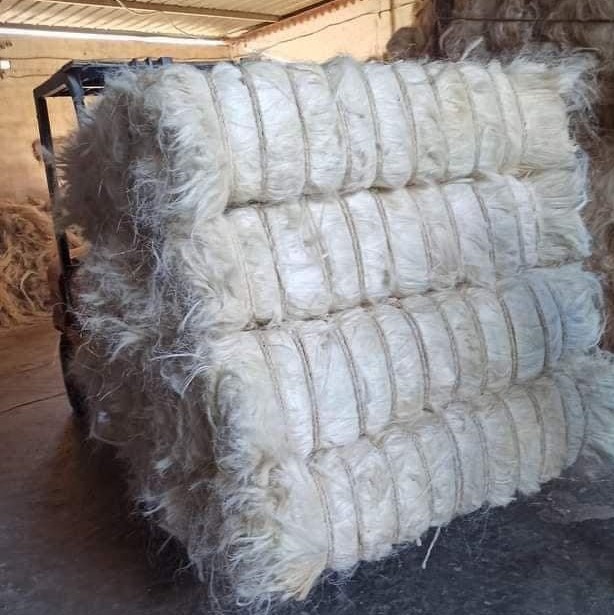 Wholesale Sisal Fibre from Kenya