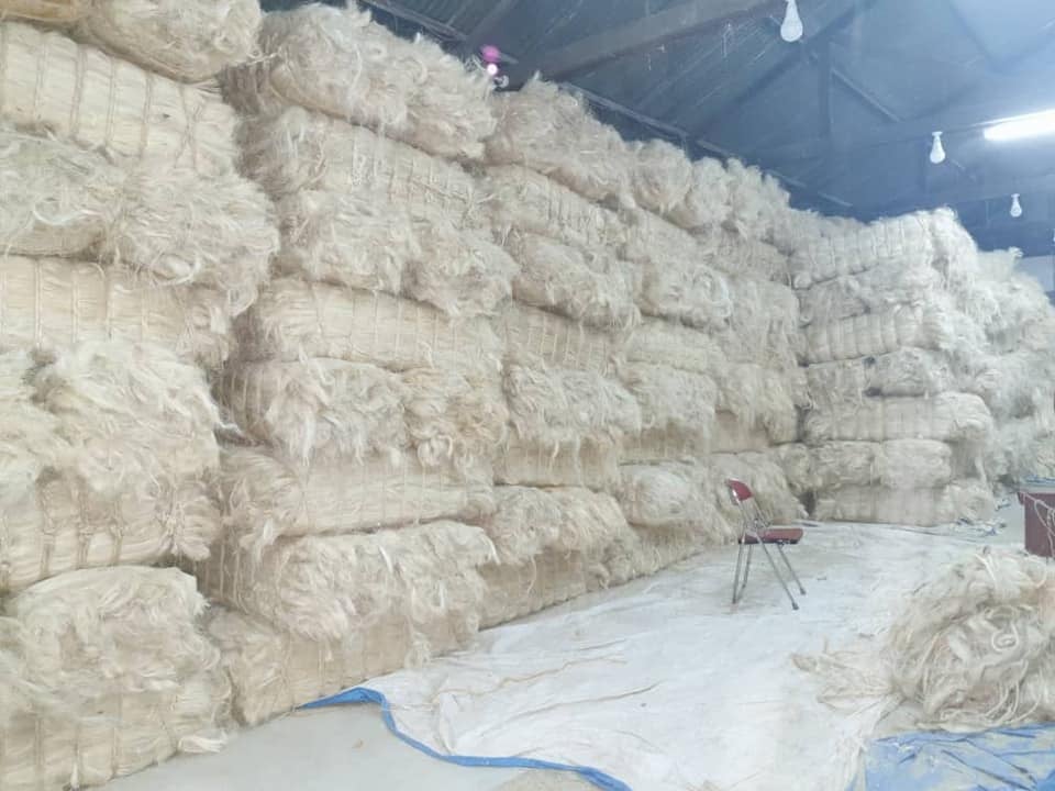 sisal fiber for sale