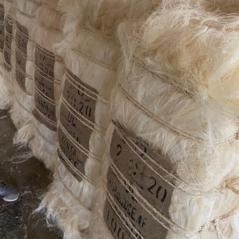 Sisal Fiber Ug Grade for sale